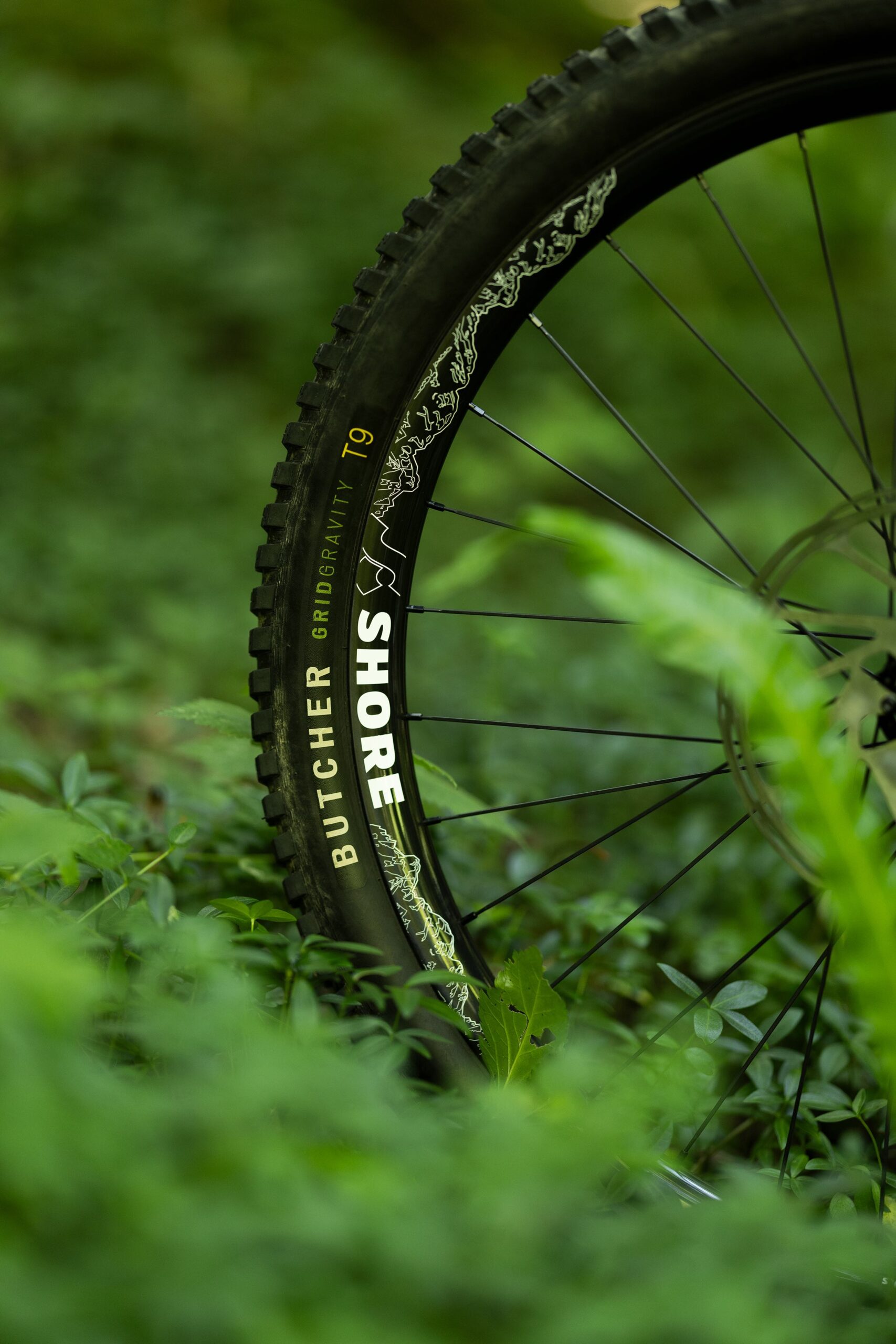 ShoreCarbon2023070614310615