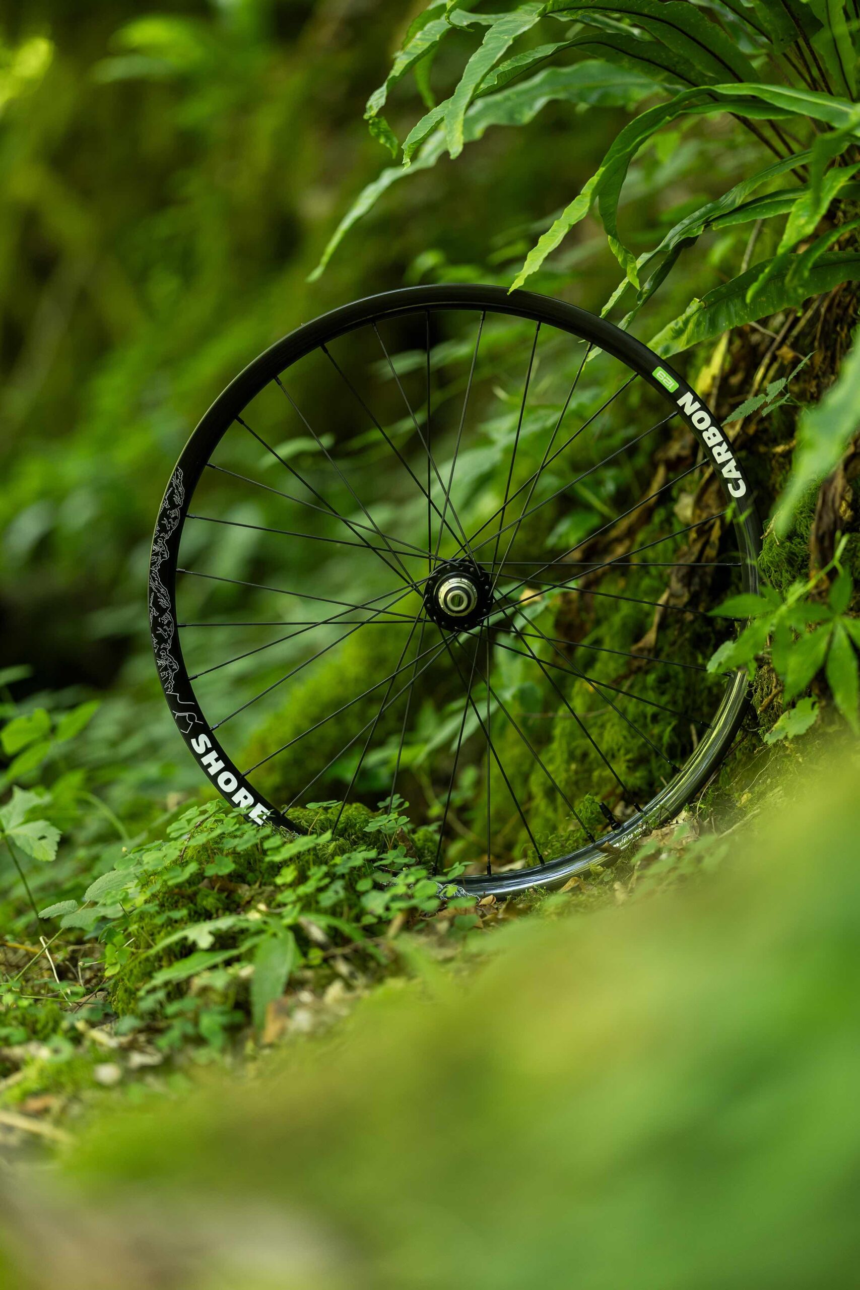 ShoreCarbon2023070614455189